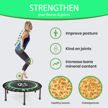 Load image into Gallery viewer, Rebounder - 40 Inch Mini Trampoline