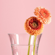 Load image into Gallery viewer, Crystal Flower Vase FLORA
