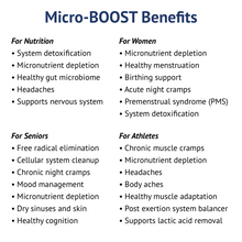 Load image into Gallery viewer, Travel Pack: Electrolyte & Micronutrient Support On-The-Go