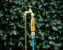 Load image into Gallery viewer, Garden Analemma