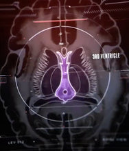 Load image into Gallery viewer, Big Genie Bottle Extraordinaire!