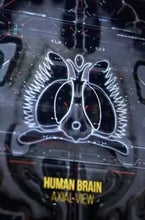 Load image into Gallery viewer, Big Genie Bottle Extraordinaire!