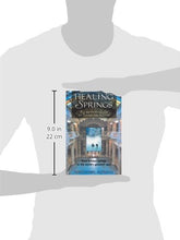 Load image into Gallery viewer, Healing Springs: The Ultimate Guide to Taking the Waters