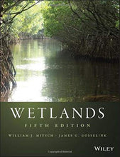Load image into Gallery viewer, Wetlands