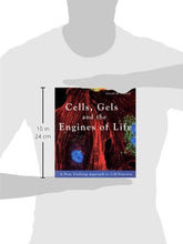 Load image into Gallery viewer, Cells, Gels and the Engines of Life: A New Unifying Approach to Cell Function