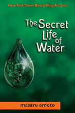Load image into Gallery viewer, Secret Life of Water