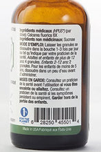 Load image into Gallery viewer, 12 Cell Salt Kit - Vegan, Lactose-Free Cell (Tissue) Salts (Calc-fluor, Calc-phos, Calc-sulph, Ferr-phos, Mag-phos, Kali-mur, Kali-phos, Kali-sulph, NAT-mur, NAT-phos, NAT-sulph, Silica) 6X HPUS