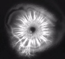 Load image into Gallery viewer, HARMONIZER CARTRIDGE EMF PROTECTION & SLEEP AID