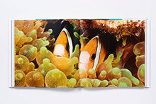 Load image into Gallery viewer, The Life and Love of the Sea