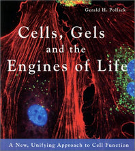 Load image into Gallery viewer, Cells, Gels and the Engines of Life: A New Unifying Approach to Cell Function
