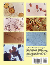 Load image into Gallery viewer, Heretic's Notebook: Emotions, Protocells, Ether-Drift and Cosmic Life-Energy, with New Research Supporting Wilhelm Reich