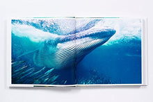 Load image into Gallery viewer, The Life and Love of the Sea