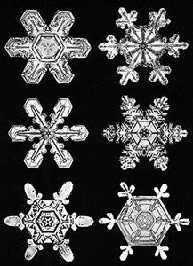 Snowflakes in Photographs (Dover Pictorial Archive)