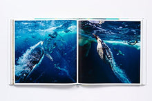Load image into Gallery viewer, The Life and Love of the Sea