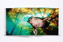 Load image into Gallery viewer, The Life and Love of the Sea