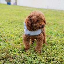 Load image into Gallery viewer, EMF Radiation Protection Pet Jacket Vest