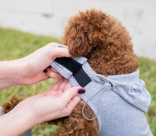 Load image into Gallery viewer, EMF Radiation Protection Pet Jacket Vest