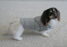 Load image into Gallery viewer, EMF Radiation Protection Pet Jacket Vest