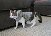 Load image into Gallery viewer, EMF Radiation Protection Pet Jacket Vest