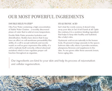 Load image into Gallery viewer, Double Helix Water Age-Defying Day Cream 2 oz