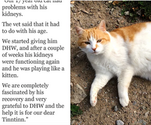 Load image into Gallery viewer, Double Helix Water for Pets 8 oz