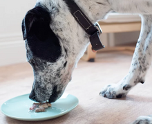 Load image into Gallery viewer, 3 Pack Double Helix Water for Pets