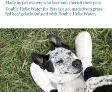 Load image into Gallery viewer, Double Helix Water for Pets 8 oz
