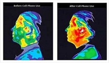 Load image into Gallery viewer, UMH Cell Phone Disc
