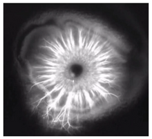 Load image into Gallery viewer, Copper Harmonizer Cartridge