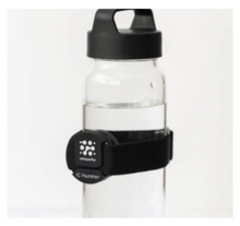 Load image into Gallery viewer, Infopathy Hummer - Infoceuticals Frequency Device