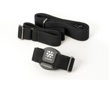 Load image into Gallery viewer, Infopathy Hummer - Infoceuticals Frequency Device