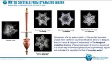 Load image into Gallery viewer, The Biodynamizer - Water Structuring Vortex - Ships from Europe
