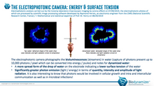 Load image into Gallery viewer, The Biodynamizer - Water Structuring Vortex - Ships from Europe
