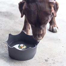 Load image into Gallery viewer, CROWNJUWEL – SLATE GREY - Vitajuwel Pet Bowl
