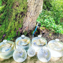 Load image into Gallery viewer, 2.5 Gallon Flower of Life Jug