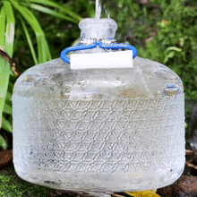 Load image into Gallery viewer, 2.5 Gallon Flower of Life Jug