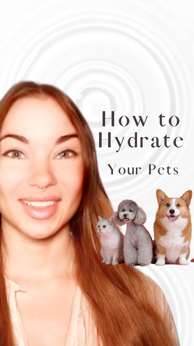 Best Hydration for your Pets - Structured Living Water for Cats and Dogs