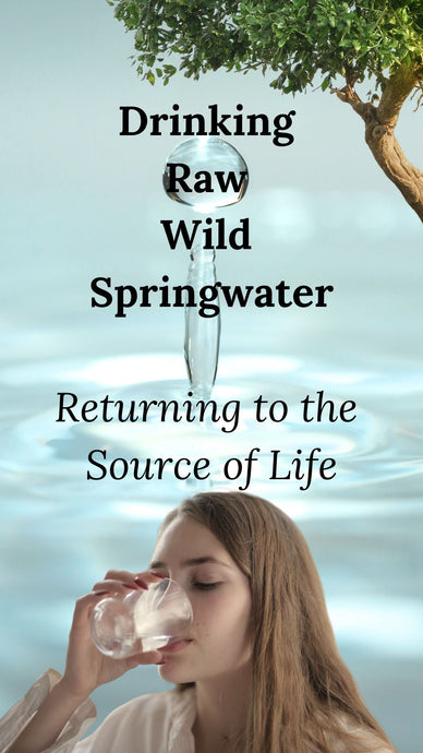 Drinking Raw Wild Springwater: Returning to the Source of Life
