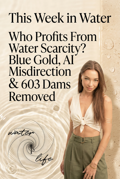 💧 603 clots pulled from Earth's arteries ~ plus 33% off everything for my birthday ~ And a Shift in Perspective on Water Rights