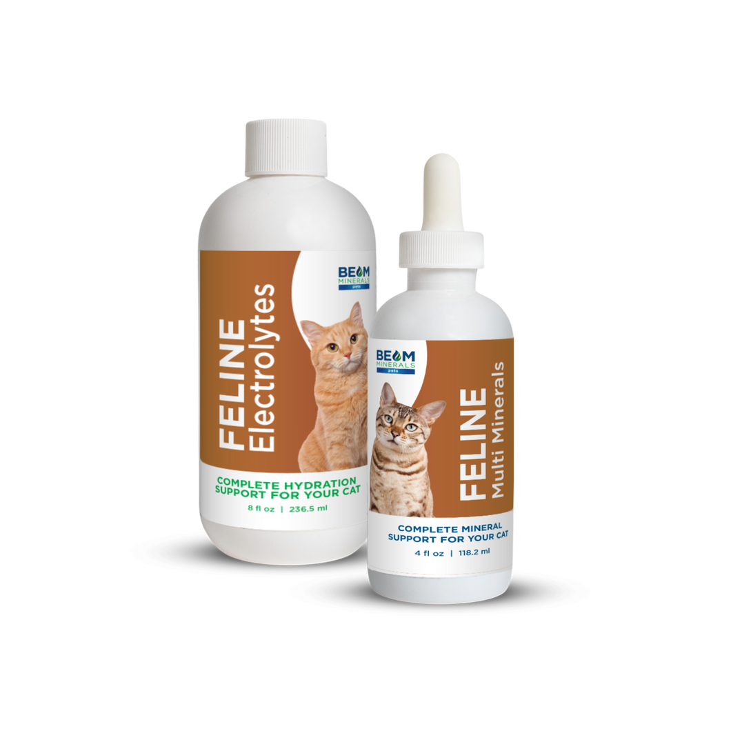 Advanced Feline Mineral and Electrolyte Replenishment Set