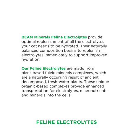 Advanced Feline Mineral and Electrolyte Replenishment Set