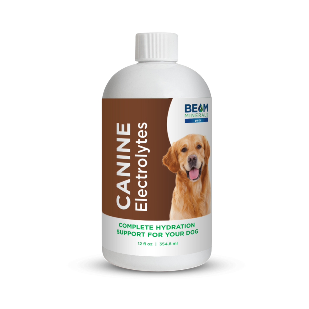 Complete Canine Electrolytes