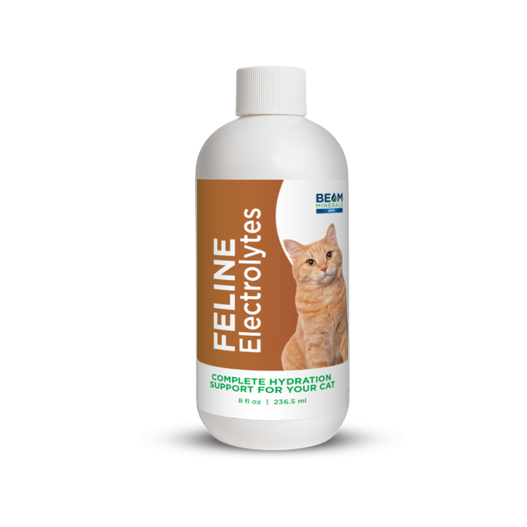 Complete Feline Electrolytes
