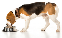 Load image into Gallery viewer, Complete Canine Minerals
