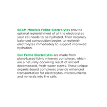 Load image into Gallery viewer, Complete Feline Electrolytes
