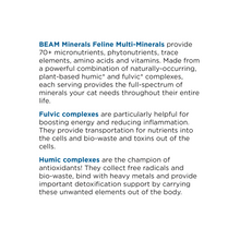 Load image into Gallery viewer, Complete Feline Minerals
