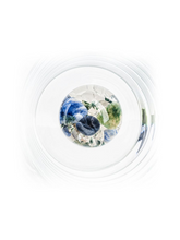 Load image into Gallery viewer, Crystal Flower Vase FLORA
