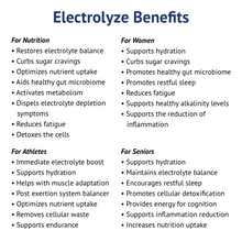 Load image into Gallery viewer, Travel Pack: Electrolyte &amp; Micronutrient Support On-The-Go
