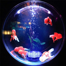 Load image into Gallery viewer, Submersible Chromotherapy Lights for Pools, Bathtubs and Aquariums
