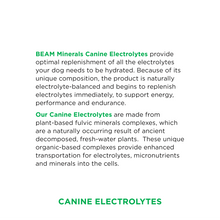 Load image into Gallery viewer, Advanced Canine Mineral and Electrolyte Replenishment Set
